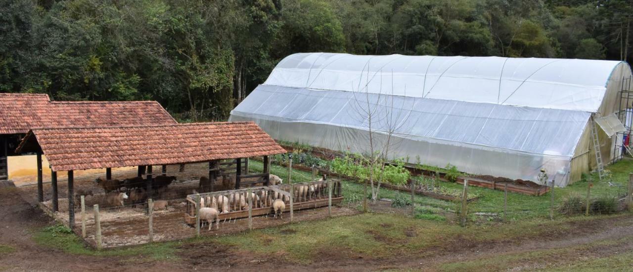 Chalet da Hortênsias Cunha Exterior foto